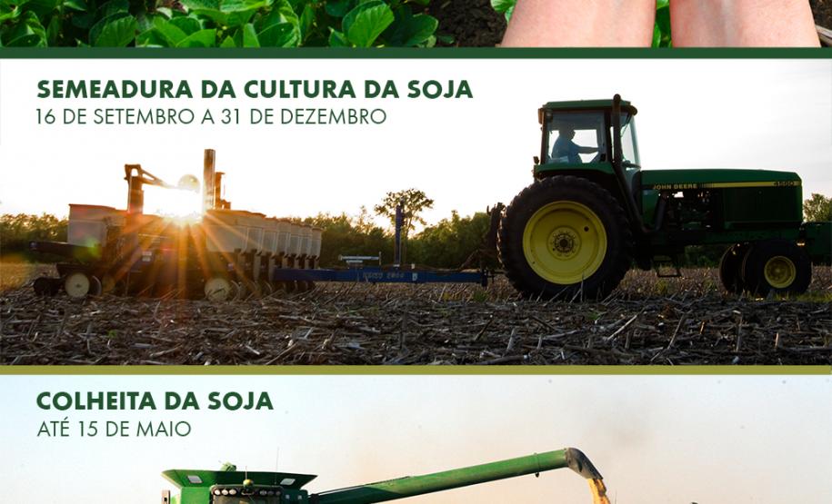 Adapar esclarece os motivos das medidas preventivas para o controle da ferrugem asiática.