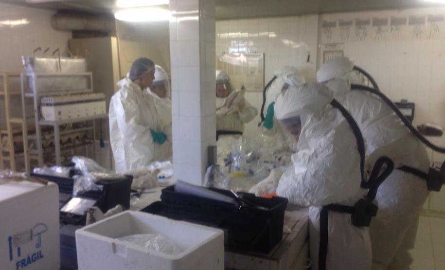 Adapar Realiza Treinamento em Biossegurança e Emergência Avícola