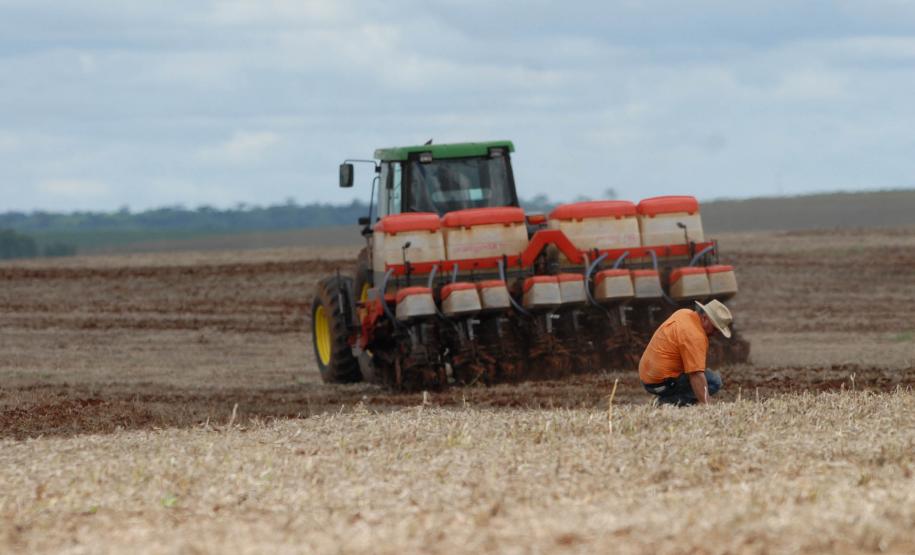 Adapar altera portaria que estabelece o período de semeadura e colheita de soja