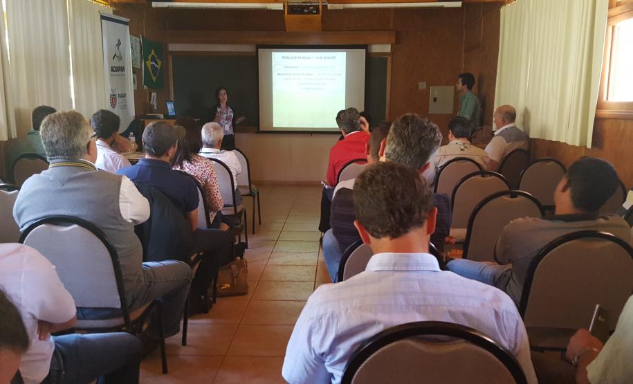 Adapar Promoveu Dia de Campo sobre Vespa-da-Madeira em Bituruna.