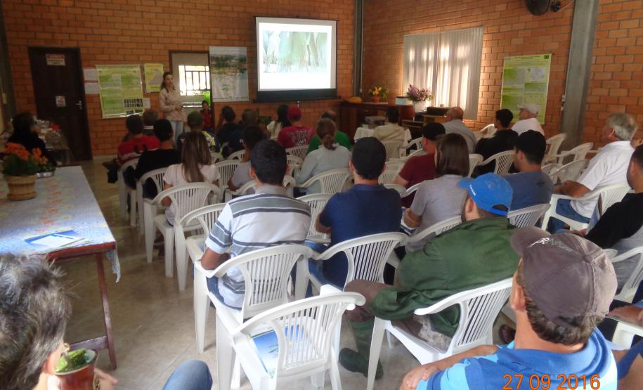 Adapar Promove Dia de Campo sobre Bananicultura em Guaratuba