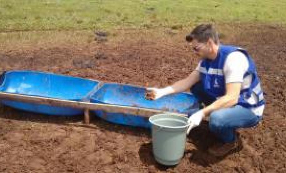 Cama de Frango: Adapar suspeita de uso de cama de frango na alimentação de bovinos. Cama de Frango: Adapar suspeita de uso de cama de frango na alimentação de bovinos.