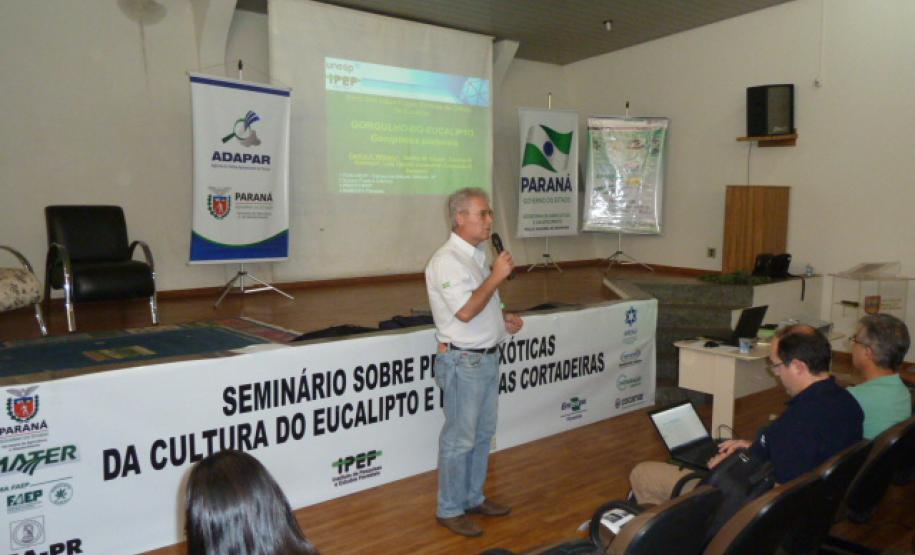 Adapar Realiza Seminários Sobre Pragas do Eucalipto