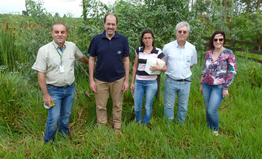 Adapar Participa de Liberação de Inimigo Natural da Praga Vespa-da-Galha do Eucalipto Adapar Participa de Liberação de Inimigo Natural da Praga Vespa-da-Galha do Eucalipto