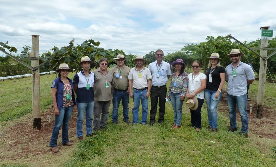 Dia de Campo Sobre a Cultura da Videira em Santa Tereza do Oeste