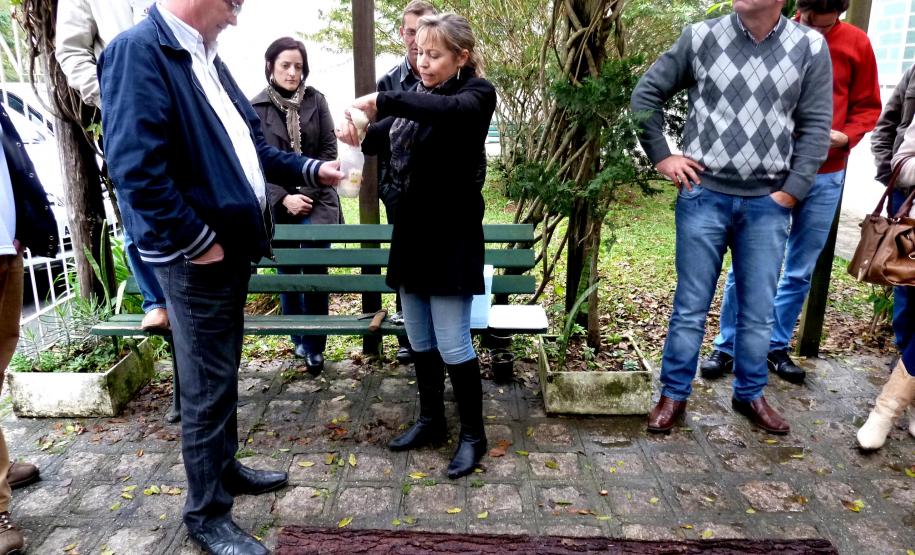 CFO, Sirex noctilio2