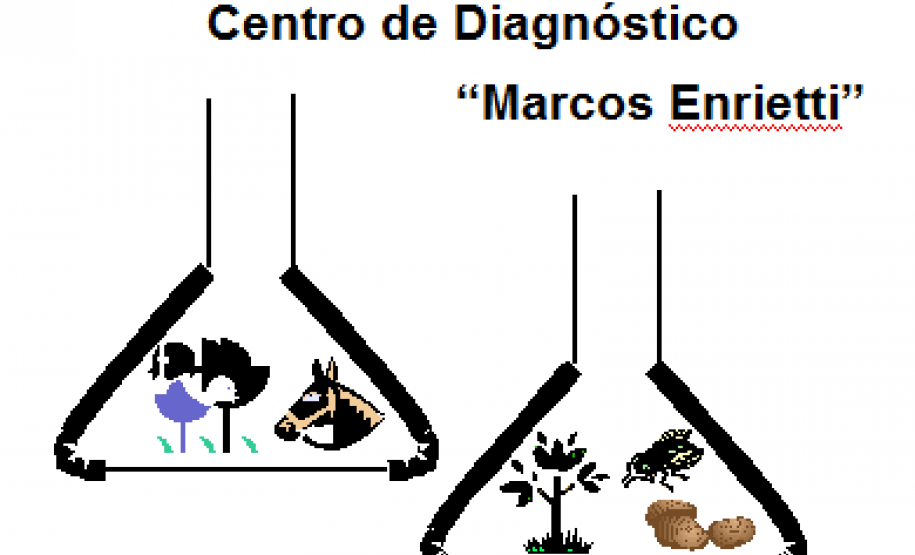CDME Colabora em Revisão de Documentação do Inmetro