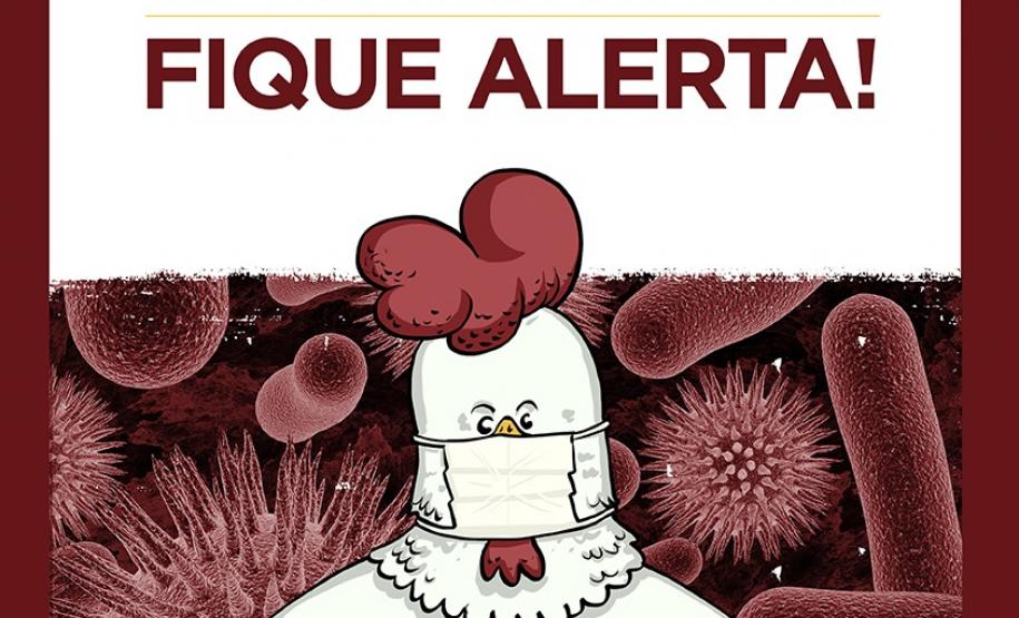 Adapar Intensifica Ações de Vigilância para Influenza Aviária