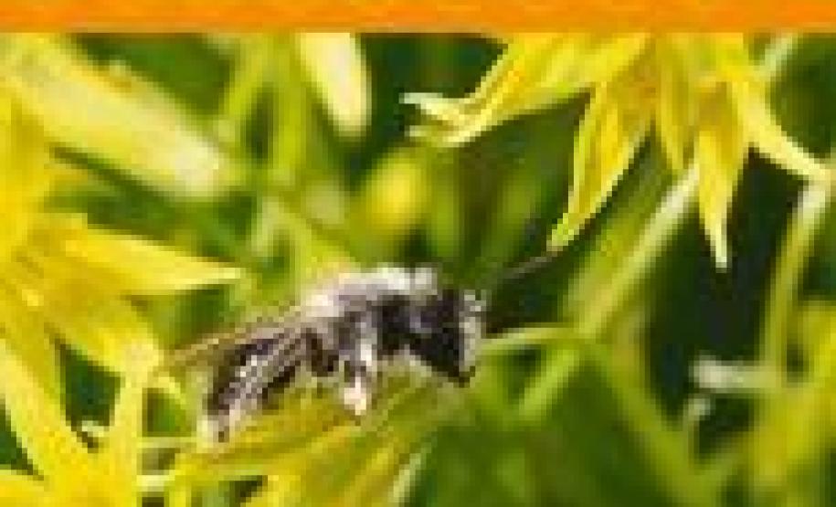 Sanidade Apícola: Adapar Presente em Publicação Internacional em Sanidade Apícola Sanidade Apícola: Adapar Presente em Publicação Internacional em Sanidade Apícola