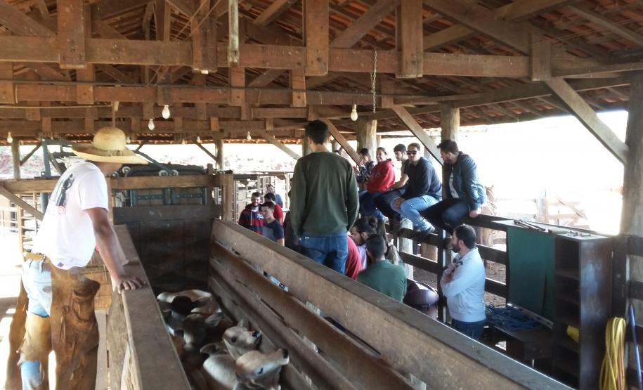 Universidades de Maringá Convidam a Adapar para Apresentar as Ações de Defesa Agropecuária Universidades de Maringá Convidam a Adapar para Apresentar as Ações de Defesa Agropecuária
