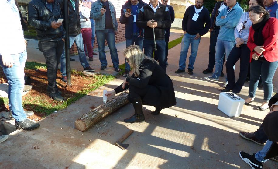 Londrina Sedia Cursos CFO e CFOC Realizados pela Adapar