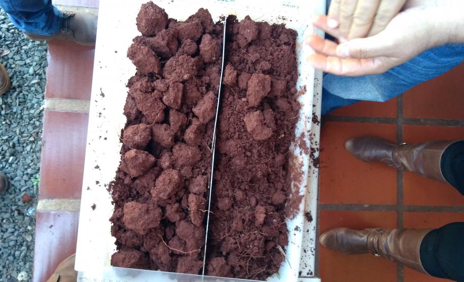 Adapar Realiza Palestra em Evento de Reciclagem Técnica em Ibiporã.