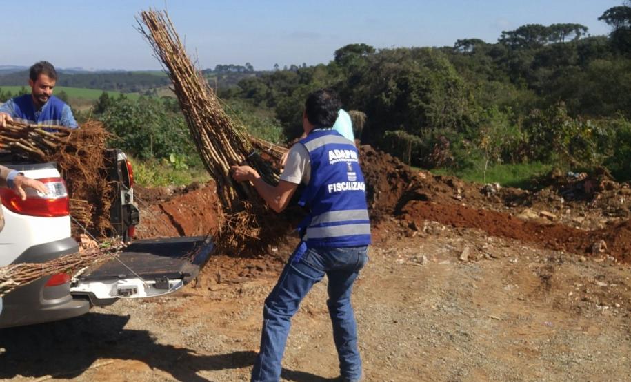 Trânsito Agropecuário: Adapar Realizou Barreiras Volantes em Todo Paraná