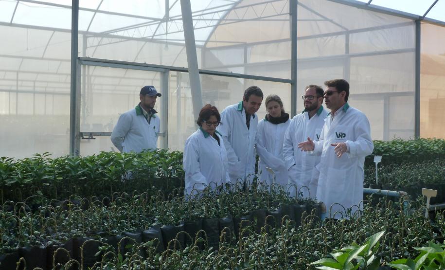 Adapar realiza treinamento para fiscais da Adagro (PE) em sanidade na citricultura