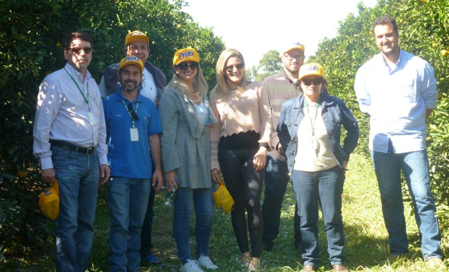 Adapar realiza treinamento para fiscais da Adagro (PE) em sanidade na citricultura