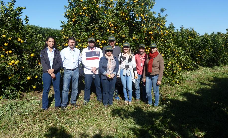 Adapar realiza treinamento para fiscais da Adagro (PE) em sanidade na citricultura