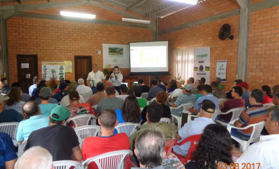 Adapar Realiza Encontro Regional da Bananicultura em Guaratuba/PR.