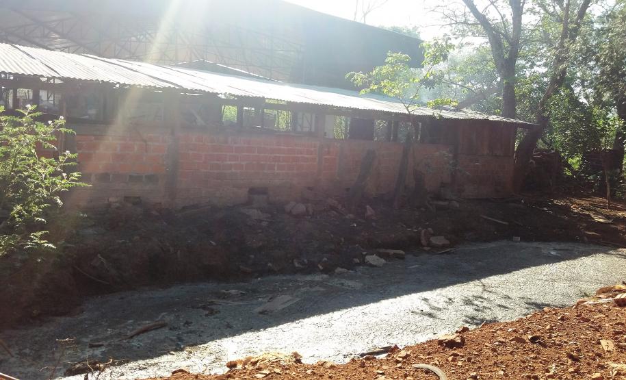 Adapar Atua no Combate ao Abate Clandestino em Medianeira