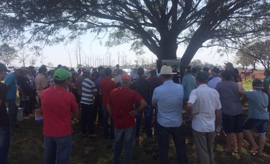 Manejo da formiga cortadeira é tema de evento técnico no noroeste do Estado Adapar orienta sobre a legislação que se aplica para o controle da formiga cortadeira e sobre os procedimentos quanto ao registro de reclamações junto à Agência