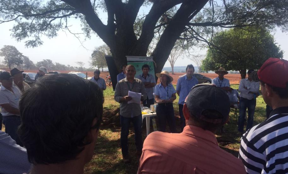 Manejo da formiga cortadeira é tema de evento técnico no noroeste do Estado Adapar orienta sobre a legislação que se aplica para o controle da formiga cortadeira e sobre os procedimentos quanto ao registro de reclamações junto à Agência