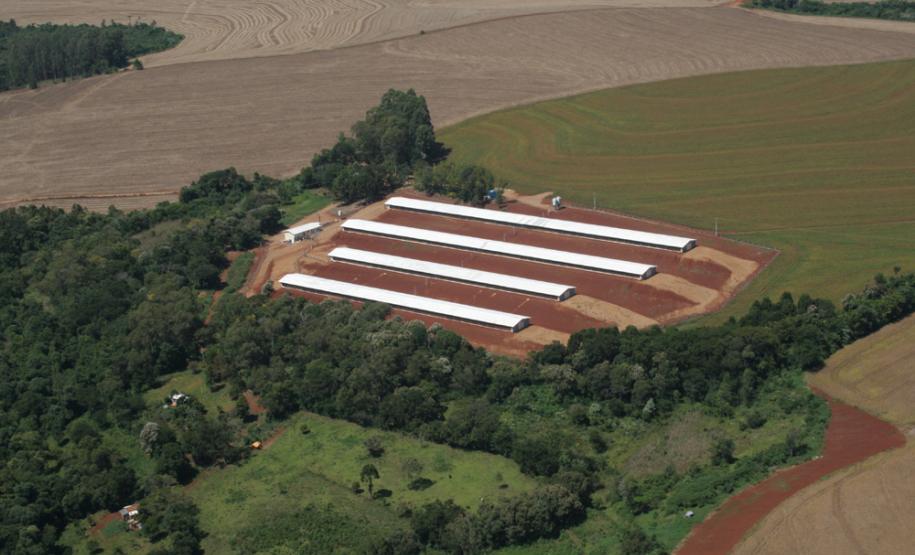 Granjas estão sendo fiscalizadas para adequações às novas regras de biosseguridade