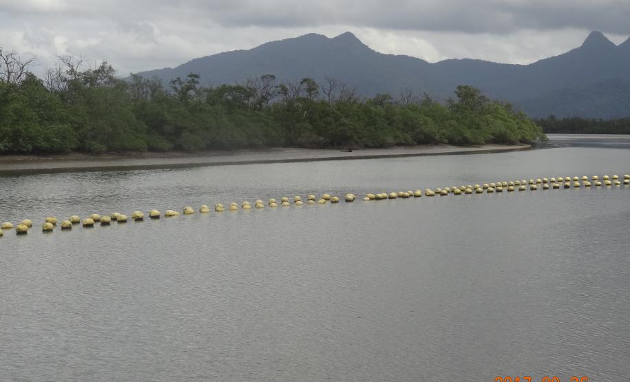 Nota Técnica: Litoral Paranaense Não Foi Afetado pela Toxina Paralisante PSP em Moluscos Bivalves