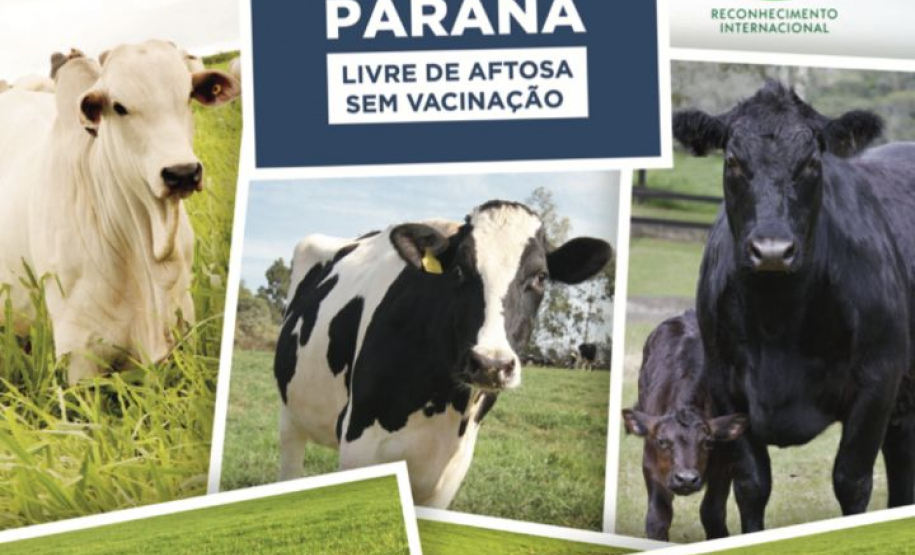 Brasil Rumo a Erradicação da Febre Aftosa