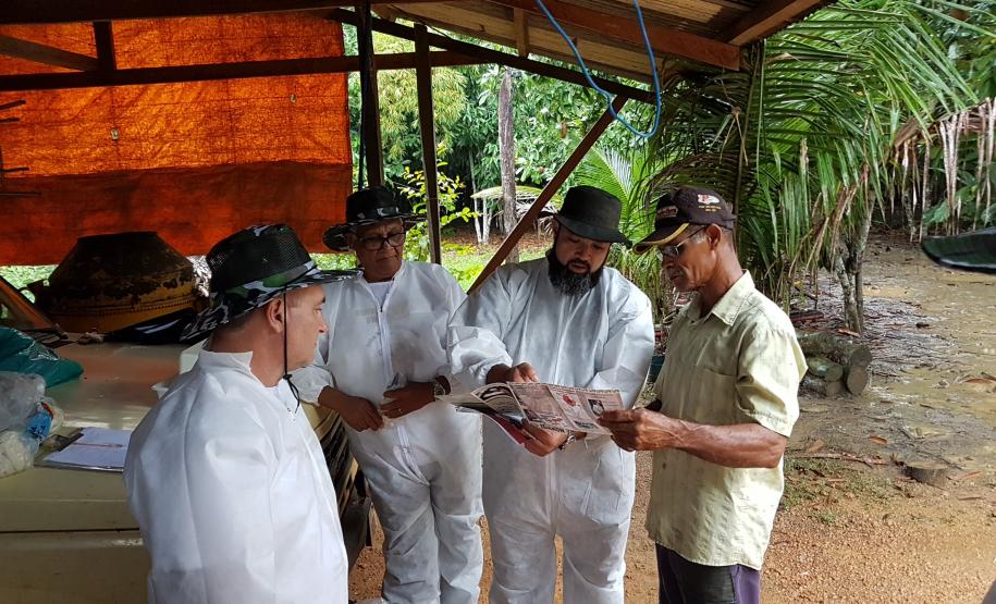 Servidores da Adapar são Capacitados em Emergências Fitossanitárias