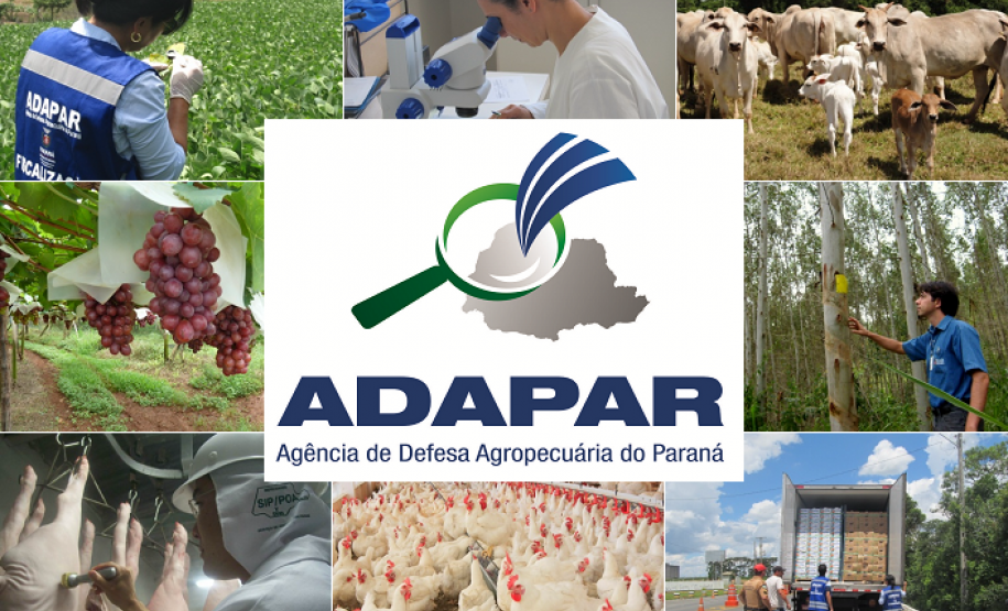 Governo nomeia 10 profissionais para a Adapar