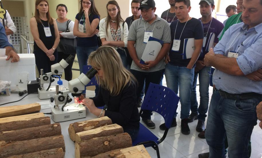 Adapar realiza capacitação para pragas da cultura do pínus