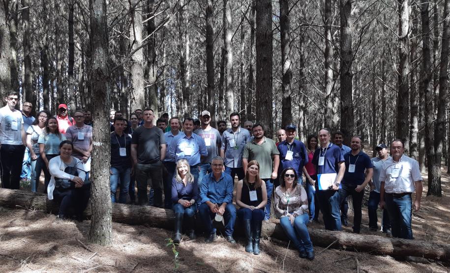 Adapar realiza capacitação para pragas da cultura do pínus