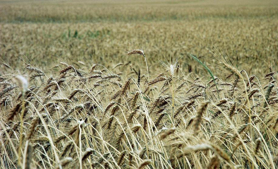 Porque fazer o cadastro de usuário de agrotóxicos?