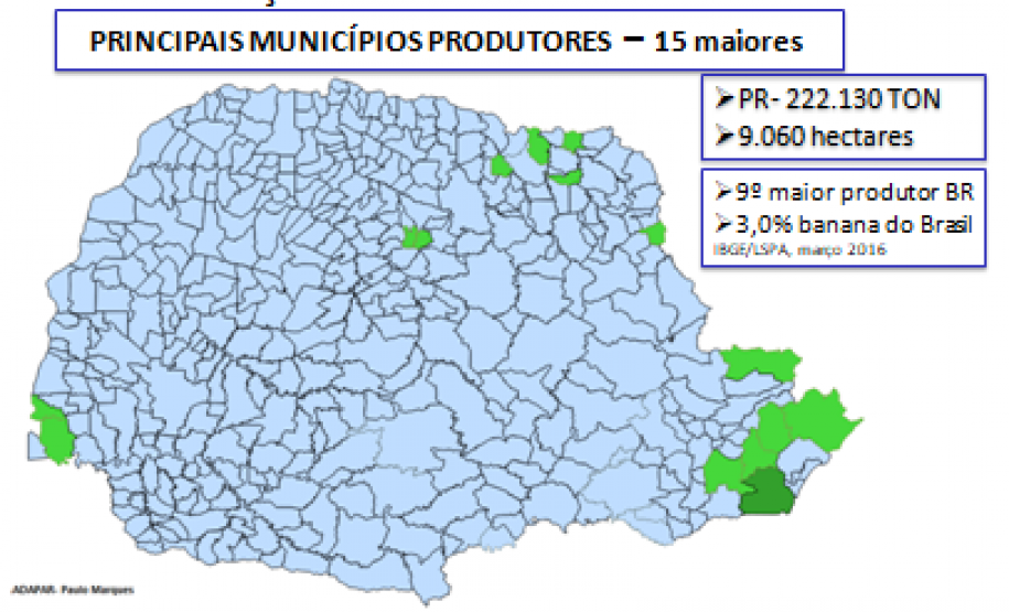 Sanidade Vegetal: Uso de Drones pela Adapar Sanidade Vegetal: Uso de Drones pela Adapar