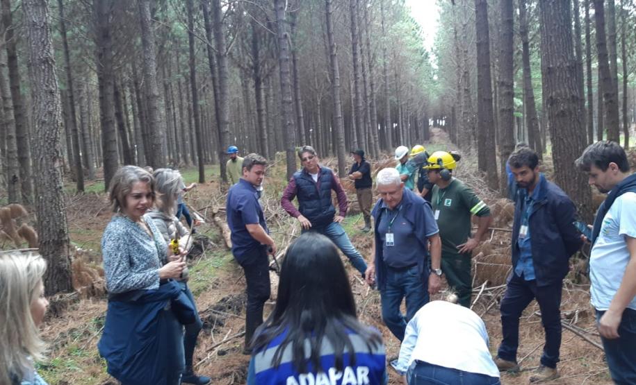Adapar promoveu dia de campo sobre “vespa-da-madeira” em General Carneiro. Adapar promoveu dia de campo sobre “vespa-da-madeira” em General Carneiro.
