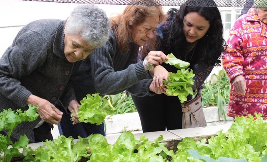Horta terapêutica do Asilo São Vicente recebe visita de técnicos da Adapar