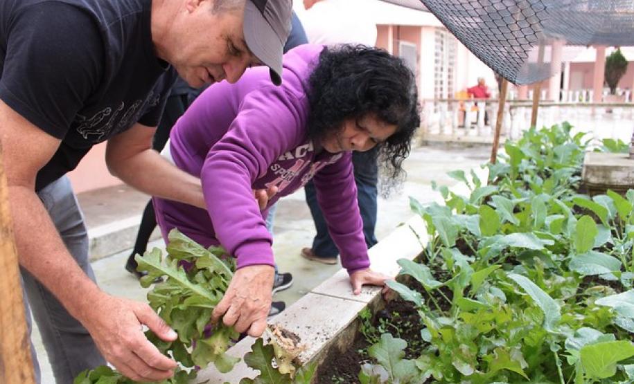Horta terapêutica do Asilo São Vicente recebe visita de técnicos da Adapar