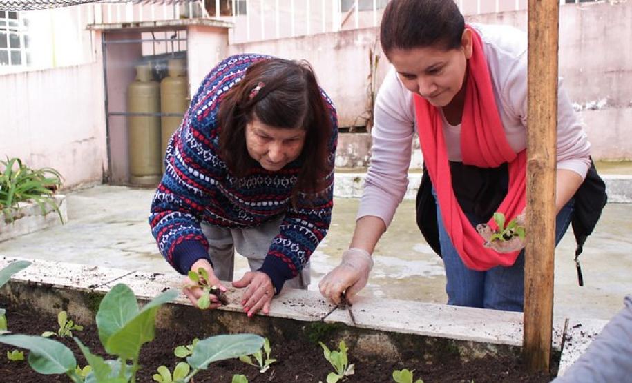 Horta terapêutica do Asilo São Vicente recebe visita de técnicos da Adapar