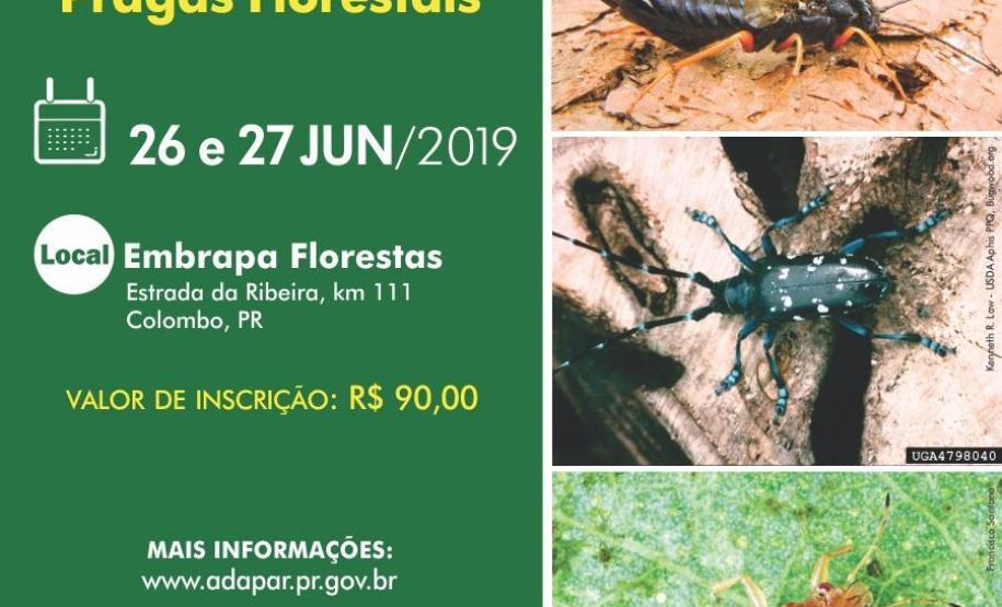 I Curso de atualização em pragas florestais I Curso de atualização em pragas florestais