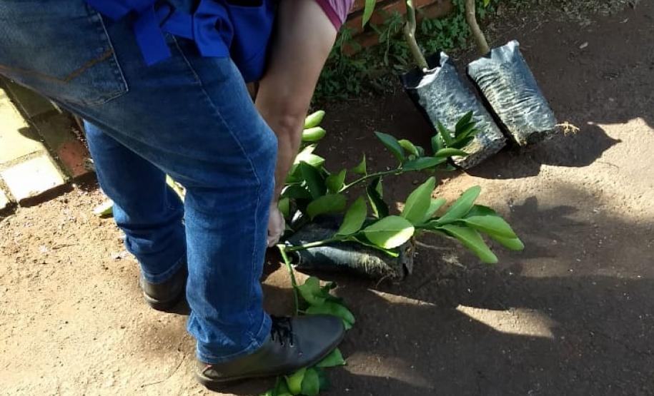 Fiscais do Iagro vêm ao Paraná conhecer os trabalhos desenvolvidos pela Adapar Fiscais do Iagro vêm ao Paraná conhecer os trabalhos desenvolvidos pela Adapar