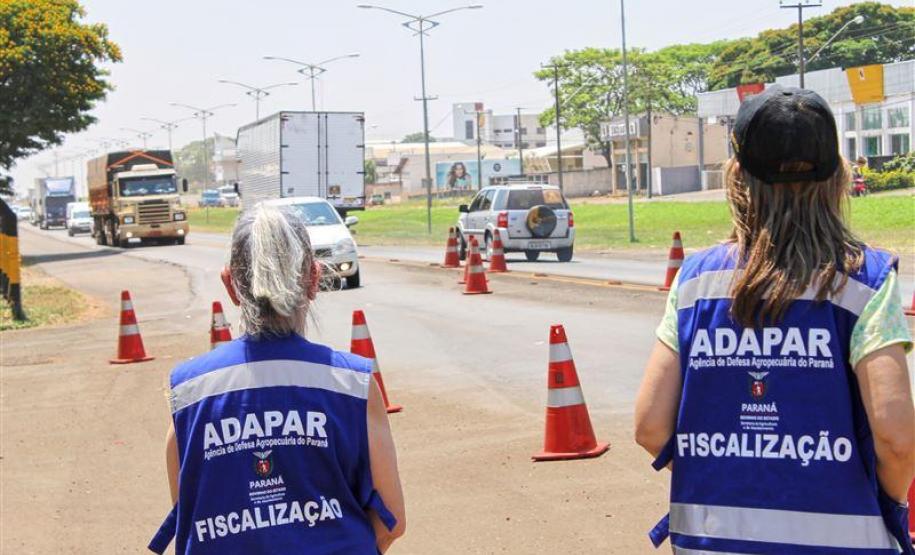 Celepar aprimora sistemas de fiscalização do trânsito agropecuário