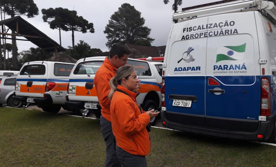 Simulado de febre aftosa no Paraná treina 178 profissionais