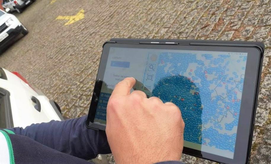 Gerência de trânsito agropecuário faz os preparativos finais para área livre de febre aftosa sem vacinação Gerência de trânsito agropecuário faz os preparativos finais para área livre de febre aftosa sem vacinação