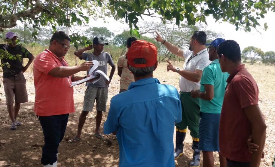 Sanidade dos Suínos: Adapar coopera com o governo de Alagoas nos focos de peste suína clássica Sanidade dos Suínos: Adapar coopera com o governo de Alagoas nos focos de peste suína clássica