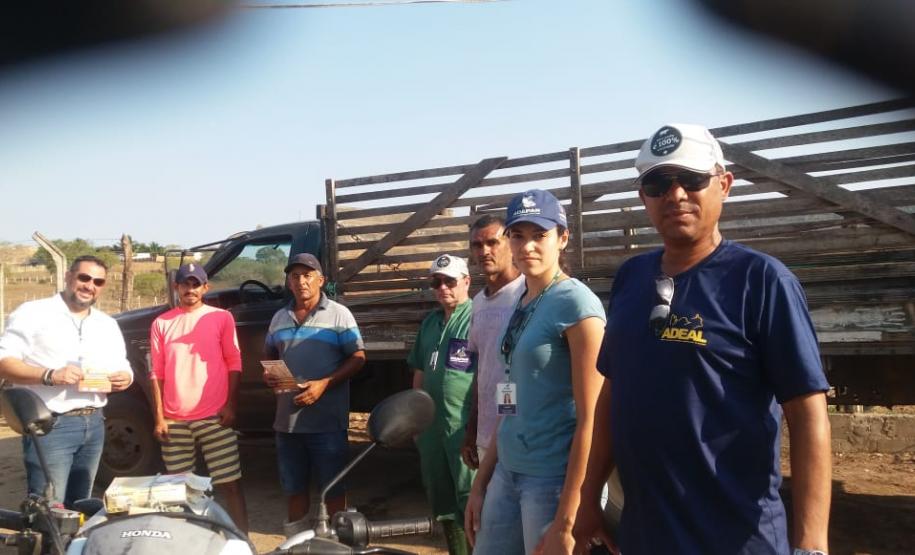 Sanidade dos Suínos: Adapar coopera com o governo de Alagoas nos focos de peste suína clássica Sanidade dos Suínos: Adapar coopera com o governo de Alagoas nos focos de peste suína clássica