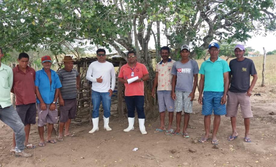 Sanidade dos Suínos: Adapar coopera com o governo de Alagoas nos focos de peste suína clássica Sanidade dos Suínos: Adapar coopera com o governo de Alagoas nos focos de peste suína clássica