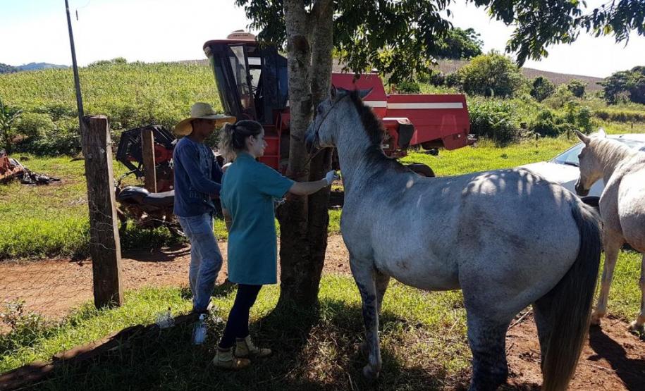 Colheita de amostra para inquérito soroepidemiológico de AIE