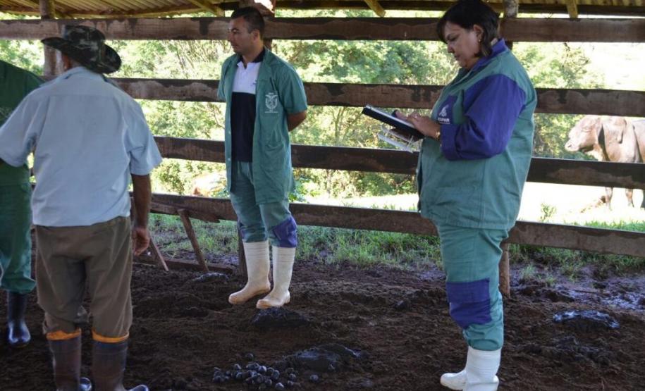 Uso do tablet para cadastro dos dados amostrados