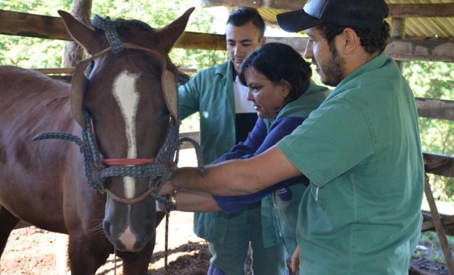 Colheita amostra AIE