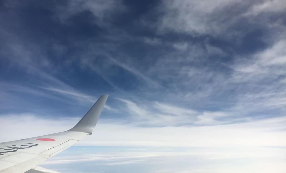 Fiscais da Adapar realizam curso de transporte aéreo de artigos perigosos