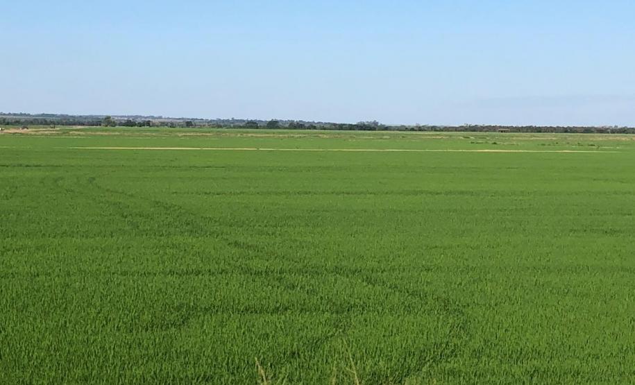 Adapar é reconhecida como destaque empresarial e social de 2019